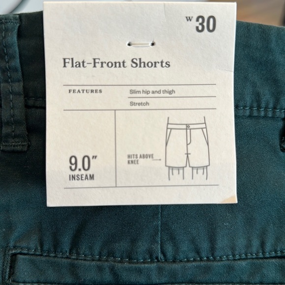 GOODFELLOW MENS FLAT-FRONT SHORTS 9” INCH INSEAM MOUNTAIN SPRUCE SZ 30 - Picture 3 of 3